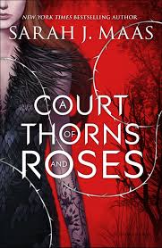 A Court Of Thorns And Roses Cover